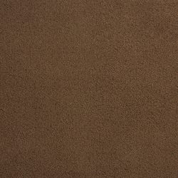 Dixie Home Carpet Penley Estates G5132 74138