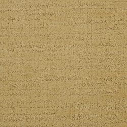 Dixie Home Carpet Gatesbury G5175 45539
