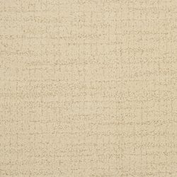 Dixie Home Carpet Gatesbury G5175 45545