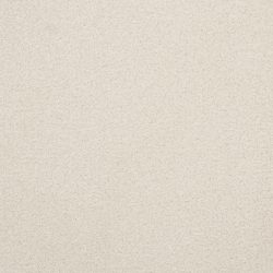 Dixie Home Carpet Unending G5178 15653