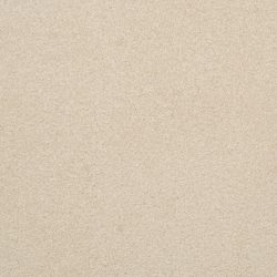 Dixie Home Carpet Unending G5178 15655