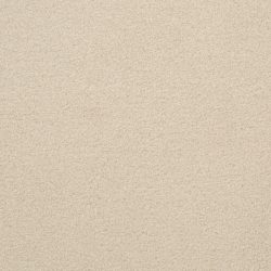 Dixie Home Carpet Unending G5178 15660