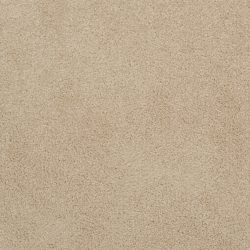 Dixie Home Carpet Unending G5178 25648