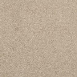 Dixie Home Carpet Unending G5178 25665