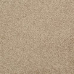 Dixie Home Carpet Unending G5178 25666