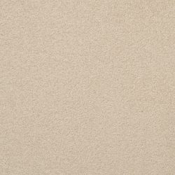 Dixie Home Carpet Unending G5178 25668