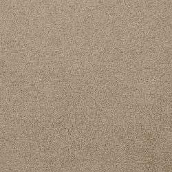 Dixie Home Carpet Unending G5178 35641