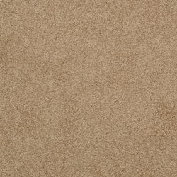 Dixie Home Carpet Unending G5178 35654