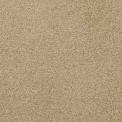 Dixie Home Carpet Unending G5178 35667