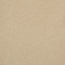 Dixie Home Carpet Unending G5178 45644