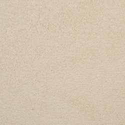 Dixie Home Carpet Unending G5178 45650