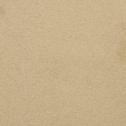 Dixie Home Carpet Unending G5178 45656