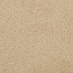 Dixie Home Carpet Unending G5178 45661
