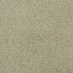 Dixie Home Carpet Unending G5178 55645