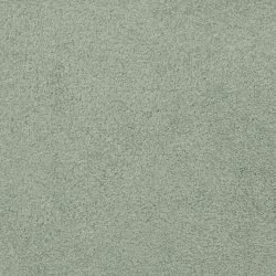 Dixie Home Carpet Unending G5178 55651