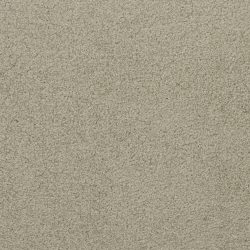 Dixie Home Carpet Unending G5178 55657