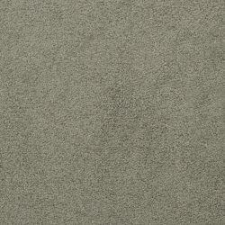 Dixie Home Carpet Unending G5178 55663
