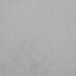 Dixie Home Carpet Unending G5178 65658