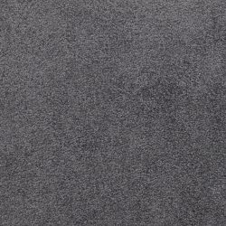 Dixie Home Carpet Unending G5178 65664