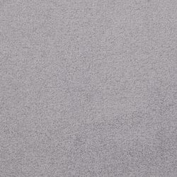 Dixie Home Carpet Unending G5178 65670