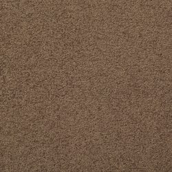 Dixie Home Carpet Unending G5178 75642