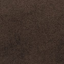 Dixie Home Carpet Unending G5178 75647