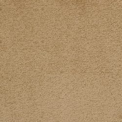 Dixie Home Carpet Unending G5178 75649
