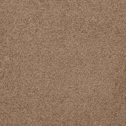 Dixie Home Carpet Unending G5178 75659