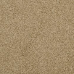 Dixie Home Carpet Unending G5178 75662