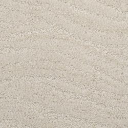Dixie Home Carpet Taittinger G5179 15574