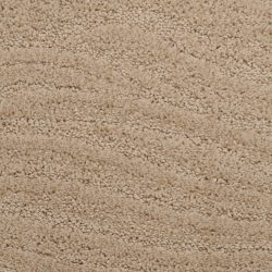 Dixie Home Carpet Taittinger G5179 25581
