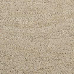 Dixie Home Carpet Taittinger G5179 25584