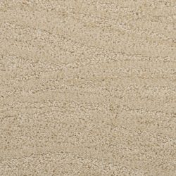 Dixie Home Carpet Taittinger G5179 25587
