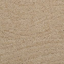 Dixie Home Carpet Taittinger G5179 35573