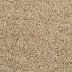 Dixie Home Carpet Taittinger G5179 35575