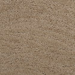 Dixie Home Carpet Taittinger G5179 35592