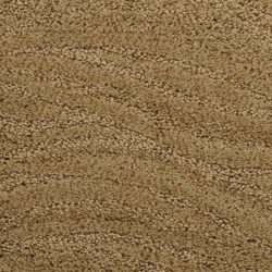 Dixie Home Carpet Taittinger G5179 45572
