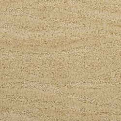 Dixie Home Carpet Taittinger G5179 45578