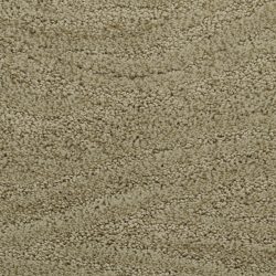 Dixie Home Carpet Taittinger G5179 55589