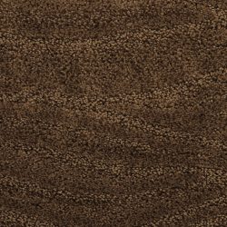 Dixie Home Carpet Taittinger G5179 75579