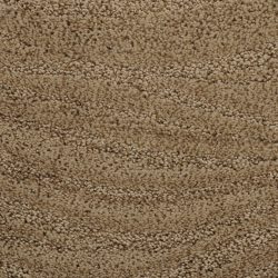Dixie Home Carpet Taittinger G5179 75585