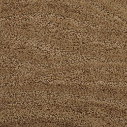 Dixie Home Carpet Taittinger G5179 75586