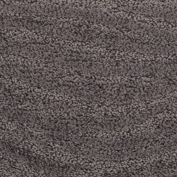 Dixie Home Carpet Taittinger G5179 95582
