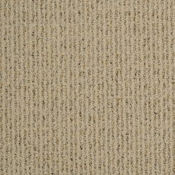 Dixie Home Carpet Canoe Ridge G5182 25517