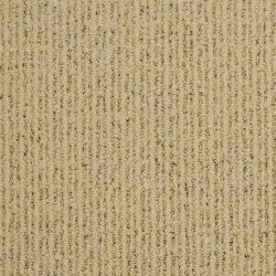 Dixie Home Carpet Canoe Ridge G5182 45519