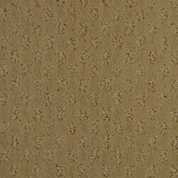 Dixie Home Carpet Alcova G5189 25080
