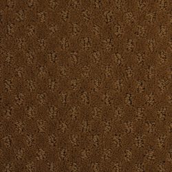 Dixie Home Carpet Alcova G5189 25120