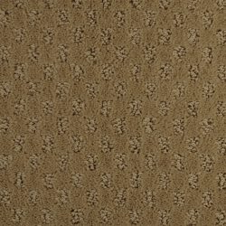 Dixie Home Carpet Alcova G5189 25160