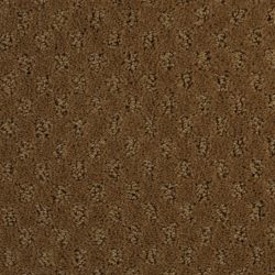 Dixie Home Carpet Alcova G5189 25210