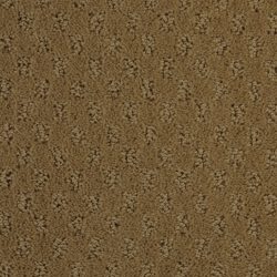 Dixie Home Carpet Alcova G5189 25220